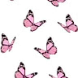 Meet your Posher, Jami